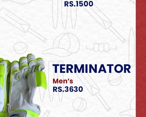 Boundary Batting Gloves (Traditional)