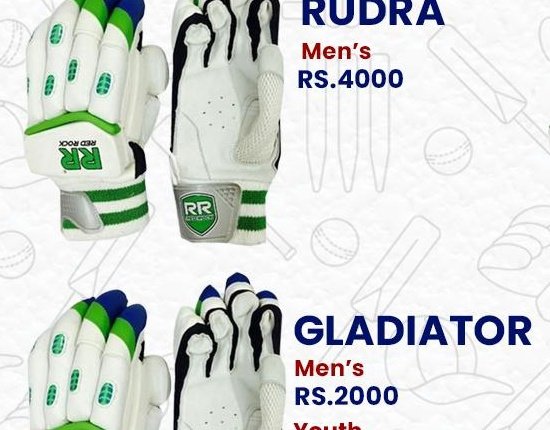 Rudra Batting Gloves (Light Weight)